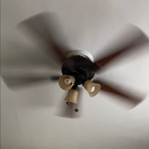 Meet your Posher, Dakota